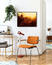 Load image into Gallery viewer, Golden Flora - Photographic Print
