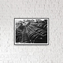 Load image into Gallery viewer, Everything Connects - Photographic Print
