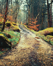 Load image into Gallery viewer, Hardcastle Crags - Greetings Card
